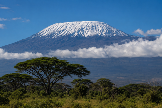 Fun Facts About Mount Kilimanjaro